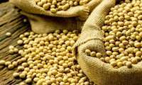 مسیر بیش از یک سوم کل محصولات در سراسر جهان، معده دام ها است.